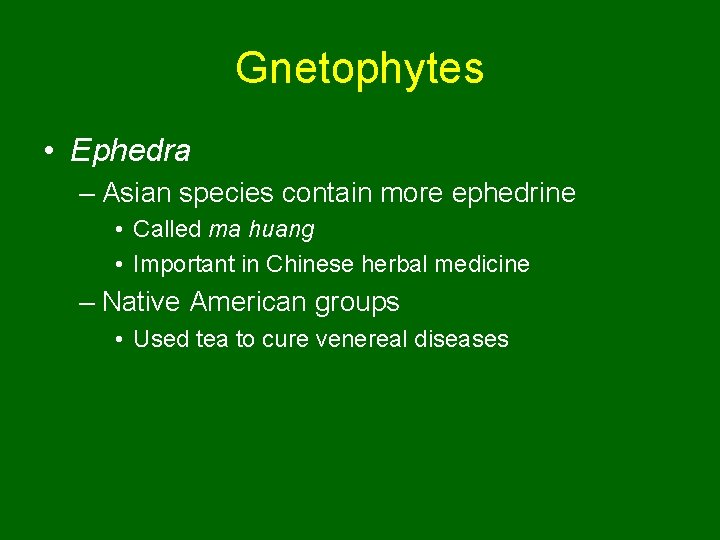 Gnetophytes • Ephedra – Asian species contain more ephedrine • Called ma huang •