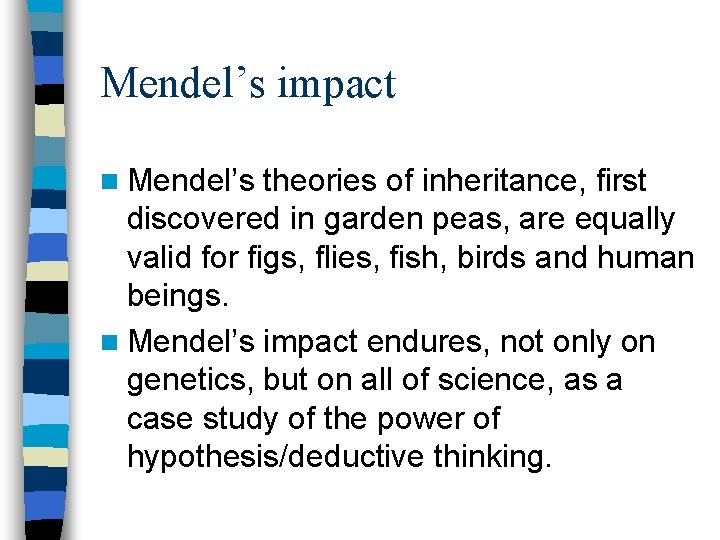 Mendel’s impact n Mendel’s theories of inheritance, first discovered in garden peas, are equally