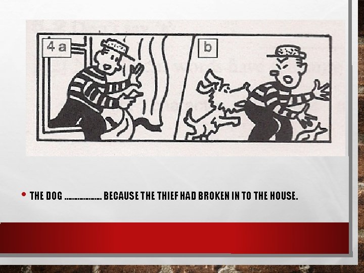  • THE DOG ………………. . BECAUSE THIEF HAD BROKEN IN TO THE HOUSE.