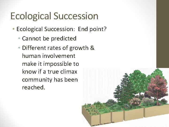 Ecological Succession • Ecological Succession: End point? • Cannot be predicted • Different rates Ecological Succession • Ecological Succession: End point? • Cannot be predicted • Different rates