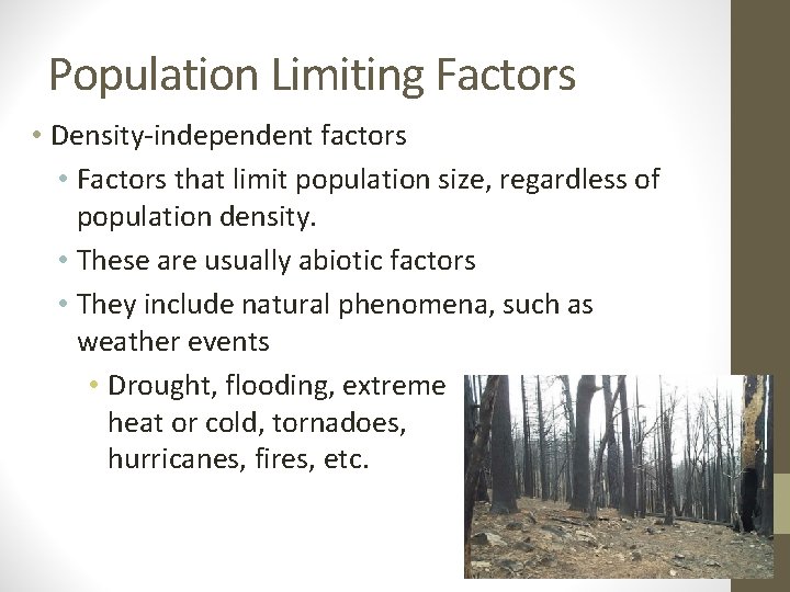 Population Limiting Factors • Density-independent factors • Factors that limit population size, regardless of Population Limiting Factors • Density-independent factors • Factors that limit population size, regardless of