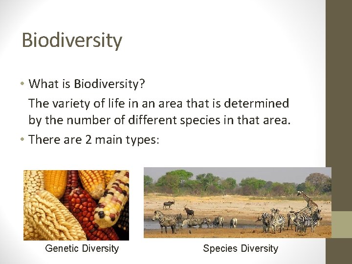Biodiversity • What is Biodiversity? The variety of life in an area that is Biodiversity • What is Biodiversity? The variety of life in an area that is