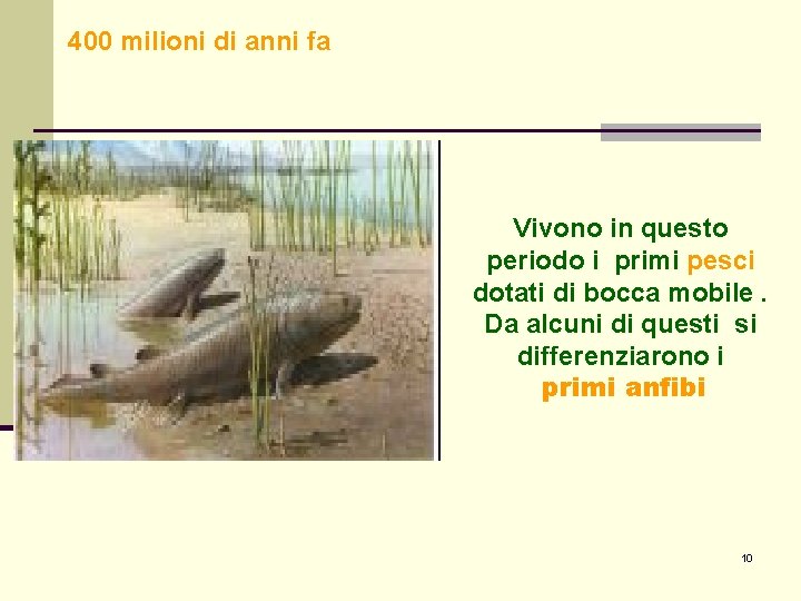 400 milioni di anni fa Vivono in questo periodo i primi pesci dotati di 400 milioni di anni fa Vivono in questo periodo i primi pesci dotati di