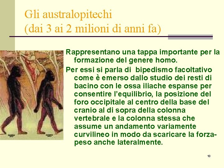 Gli australopitechi (dai 3 ai 2 milioni di anni fa) Rappresentano una tappa importante Gli australopitechi (dai 3 ai 2 milioni di anni fa) Rappresentano una tappa importante