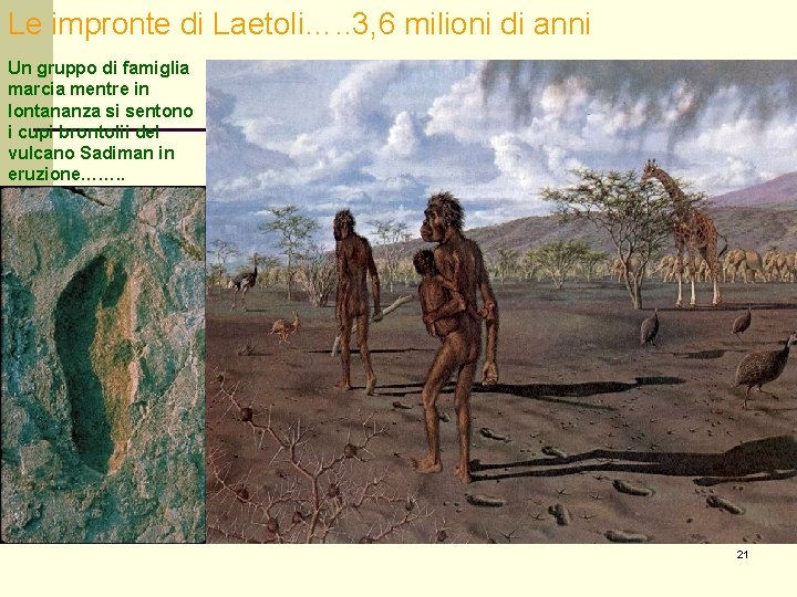 Le impronte di Laetoli…. . 3, 6 milioni di anni Un gruppo di famiglia Le impronte di Laetoli…. . 3, 6 milioni di anni Un gruppo di famiglia