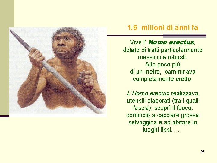 1. 6 milioni di anni fa Vive l' Homo erectus, dotato di tratti particolarmente 1. 6 milioni di anni fa Vive l' Homo erectus, dotato di tratti particolarmente