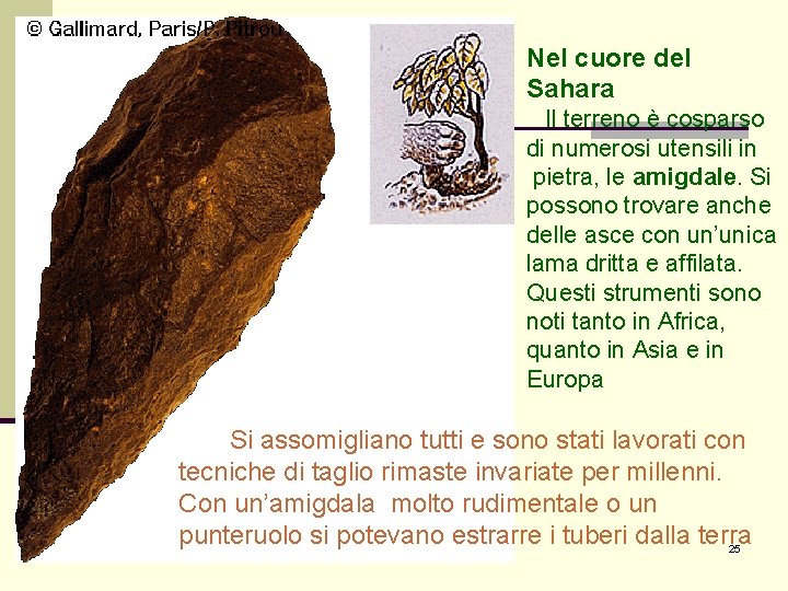 Nel cuore del Sahara Il terreno è cosparso di numerosi utensili in pietra, le Nel cuore del Sahara Il terreno è cosparso di numerosi utensili in pietra, le