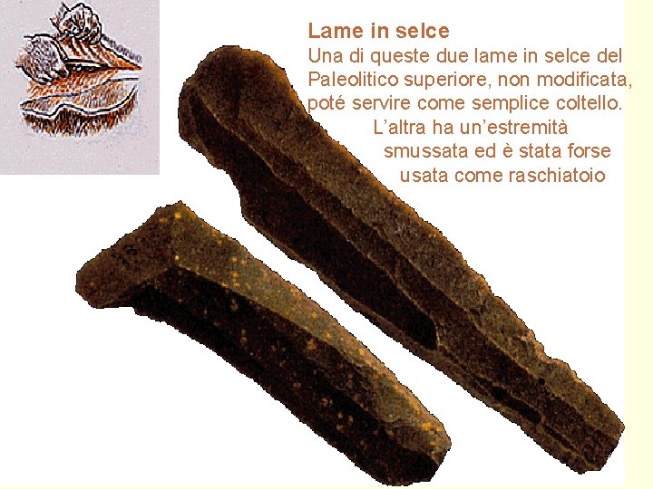 Lame in selce Una di queste due lame in selce del Paleolitico superiore, non Lame in selce Una di queste due lame in selce del Paleolitico superiore, non