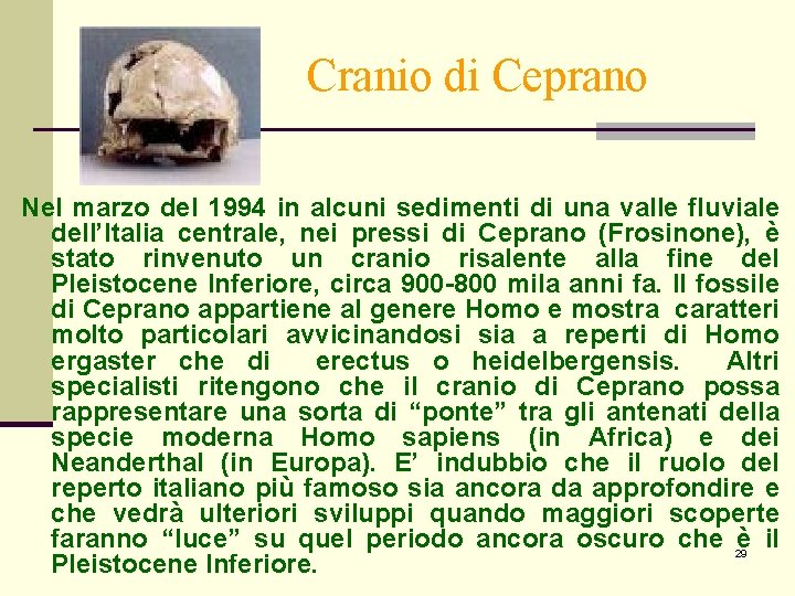 Cranio di Ceprano Nel marzo del 1994 in alcuni sedimenti di una valle fluviale Cranio di Ceprano Nel marzo del 1994 in alcuni sedimenti di una valle fluviale