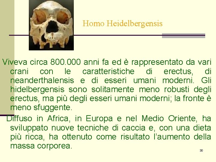 Homo Heidelbergensis Viveva circa 800. 000 anni fa ed è rappresentato da vari crani Homo Heidelbergensis Viveva circa 800. 000 anni fa ed è rappresentato da vari crani