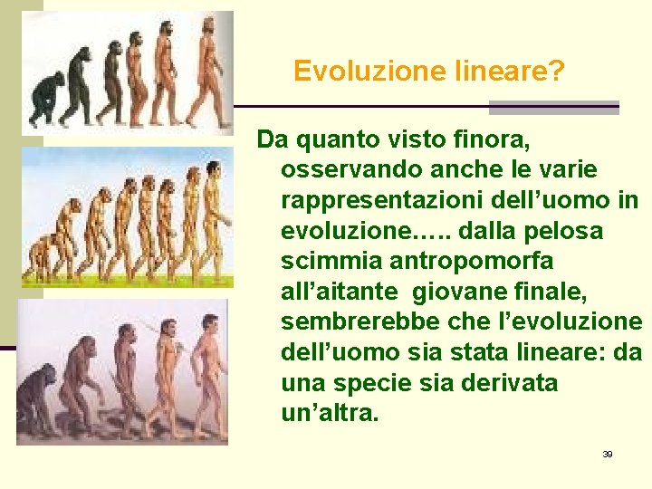 Evoluzione lineare? Da quanto visto finora, osservando anche le varie rappresentazioni dell’uomo in evoluzione…. Evoluzione lineare? Da quanto visto finora, osservando anche le varie rappresentazioni dell’uomo in evoluzione….