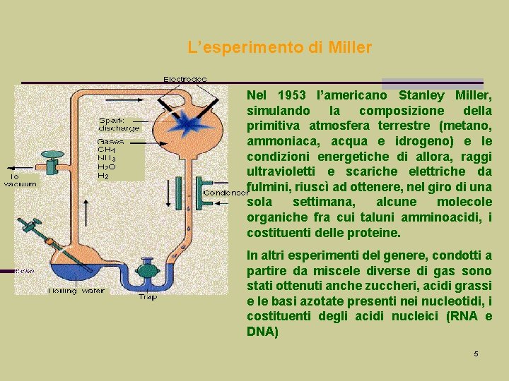 L’esperimento di Miller Nel 1953 l’americano Stanley Miller, simulando la composizione della primitiva atmosfera L’esperimento di Miller Nel 1953 l’americano Stanley Miller, simulando la composizione della primitiva atmosfera