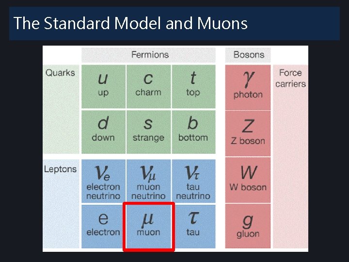 The Standard Model and Muons The Standard Model and Muons