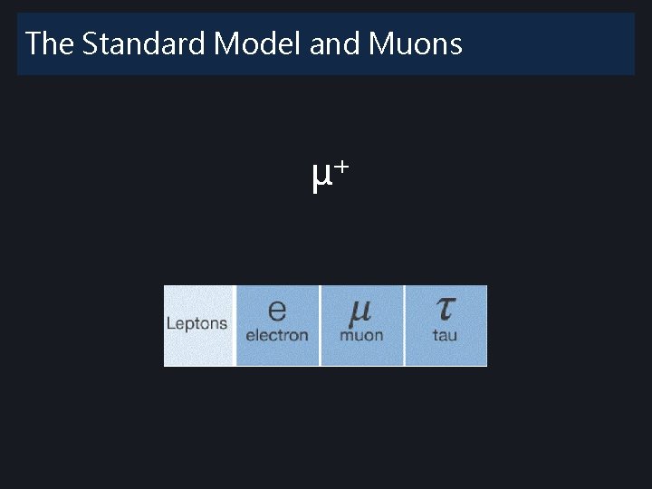 The Standard Model and Muons μ-+ The Standard Model and Muons μ-+