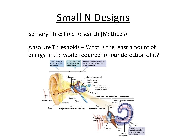 Small N Designs Sensory Threshold Research (Methods) Absolute Thresholds – What is the least