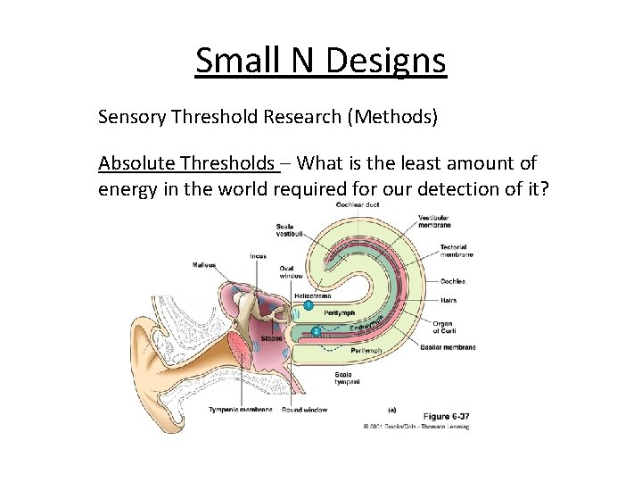 Small N Designs Sensory Threshold Research (Methods) Absolute Thresholds – What is the least
