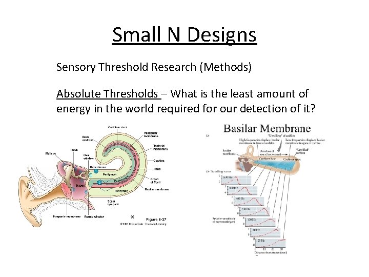 Small N Designs Sensory Threshold Research (Methods) Absolute Thresholds – What is the least