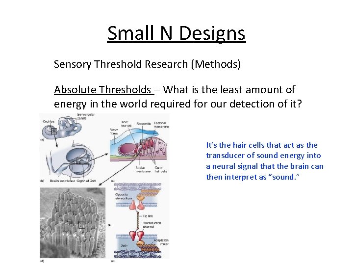 Small N Designs Sensory Threshold Research (Methods) Absolute Thresholds – What is the least