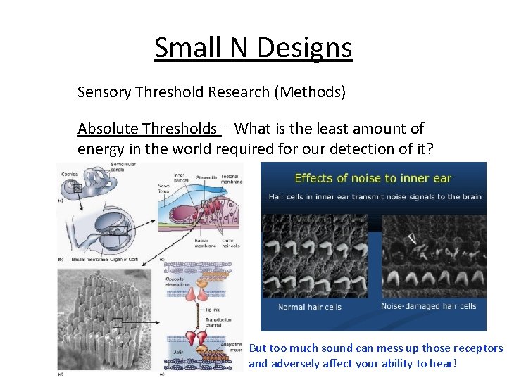 Small N Designs Sensory Threshold Research (Methods) Absolute Thresholds – What is the least