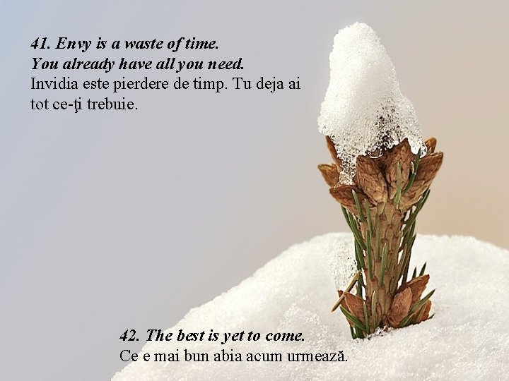41. Envy is a waste of time. You already have all you need. Invidia 41. Envy is a waste of time. You already have all you need. Invidia