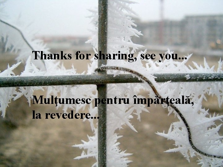 Thanks for sharing, see you. . . Mulţumesc pentru împărţeală, la revedere. . . Thanks for sharing, see you. . . Mulţumesc pentru împărţeală, la revedere. . .