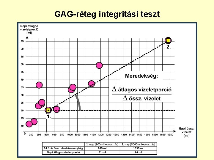 GAG-réteg integritási teszt 2 x 24 órás vizelési napló 