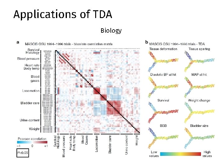 Applications of TDA Biology Applications of TDA Biology