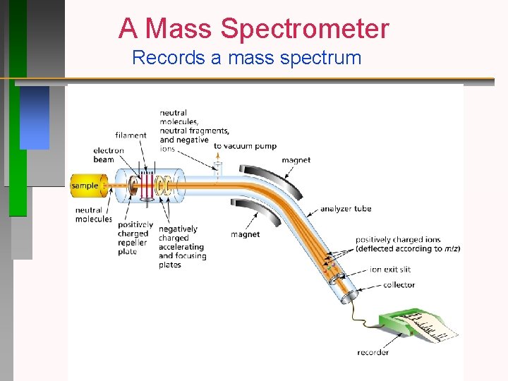 A Mass Spectrometer Records a mass spectrum 