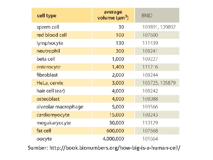 Sumber: http: //book. bionumbers. org/how-big-is-a-human-cell/ 