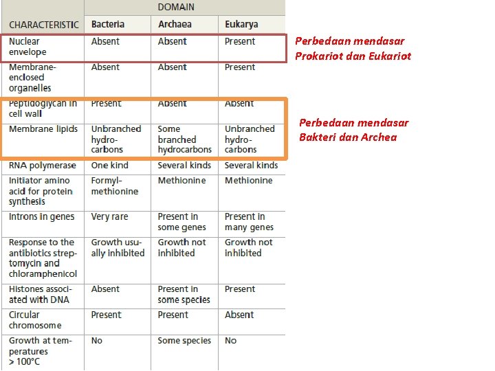 Perbedaan mendasar Prokariot dan Eukariot Perbedaan mendasar Bakteri dan Archea 