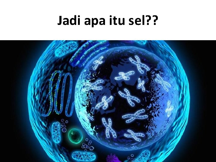 Jadi apa itu sel? ? 