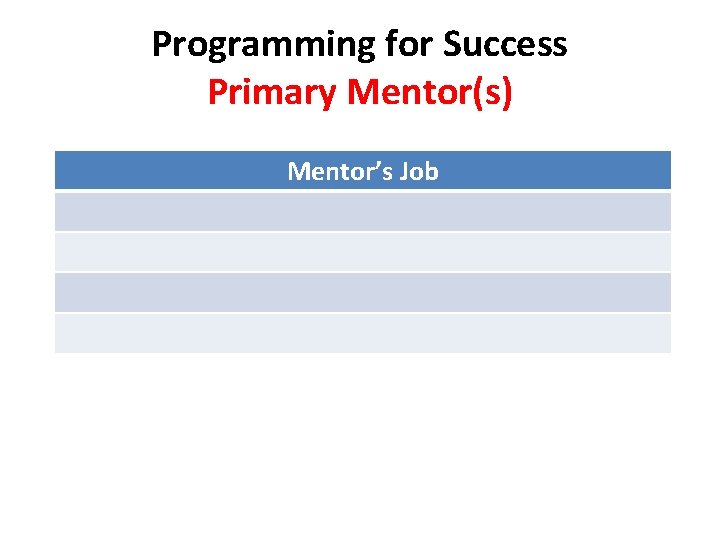 Programming for Success Primary Mentor(s) Mentor’s Job 