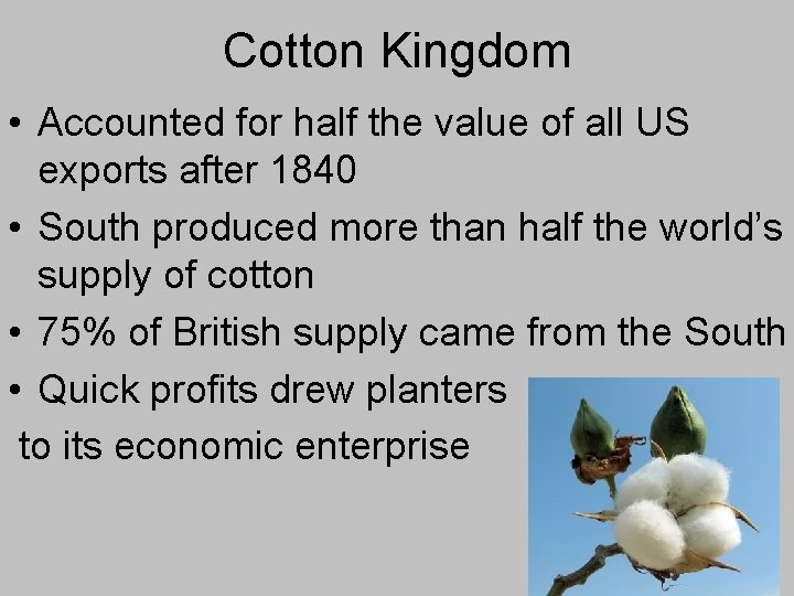 Cotton Kingdom • Accounted for half the value of all US exports after 1840 Cotton Kingdom • Accounted for half the value of all US exports after 1840