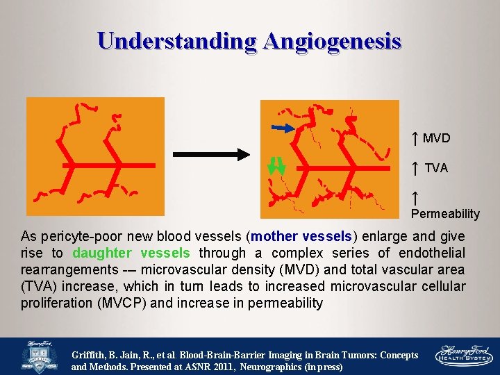 Understanding Angiogenesis ↑ MVD ↑ TVA ↑ Permeability As pericyte-poor new blood vessels (mother