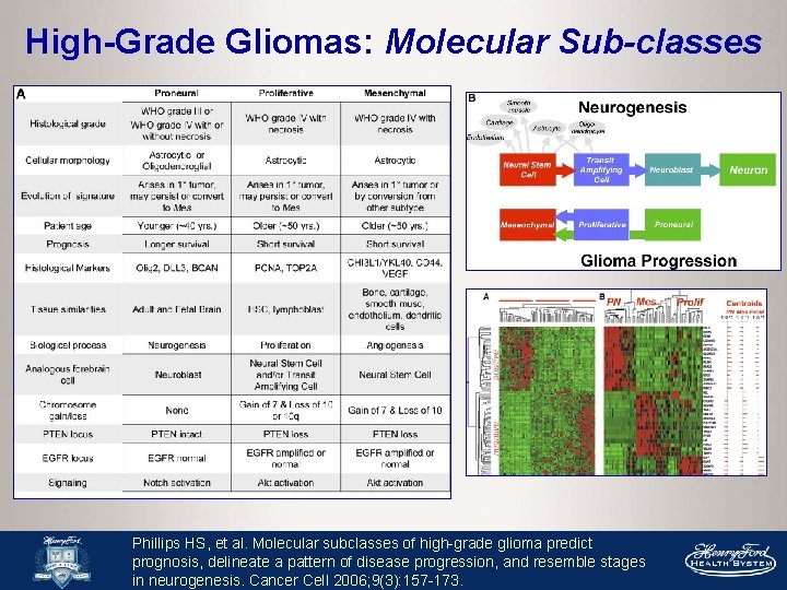High-Grade Gliomas: Molecular Sub-classes Phillips HS, et al. Molecular subclasses of high-grade glioma predict