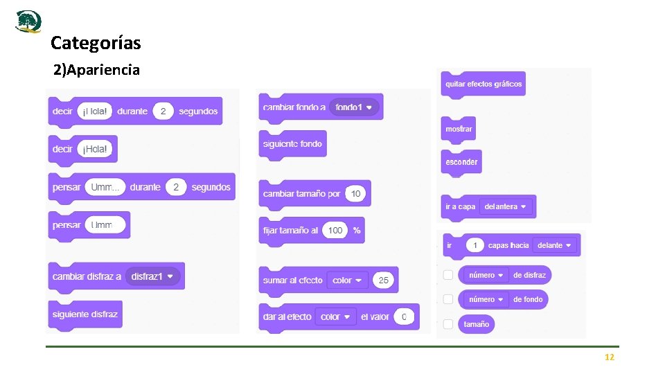 Categorías 2)Apariencia 12 