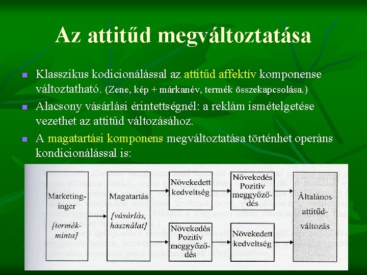 Az attitűd megváltoztatása n n n Klasszikus kodicionálással az attitűd affektív komponense változtatható. (Zene,