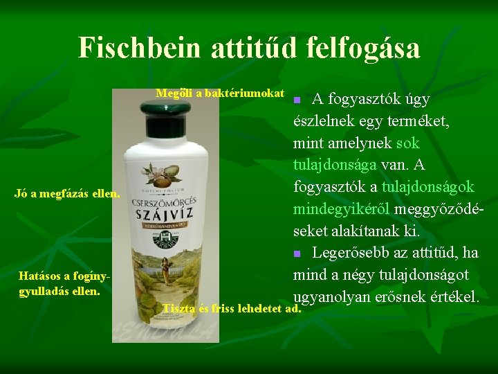 Fischbein attitűd felfogása Megöli a baktériumokat Jó a megfázás ellen. Hatásos a fogínygyulladás ellen.