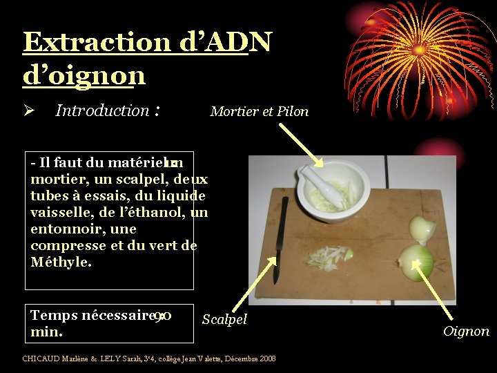 Extraction d’ADN d’oignon Ø Introduction : Mortier et Pilon - Il faut du matérielun
