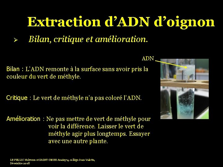 Extraction d’ADN d’oignon Ø Bilan, critique et amélioration. ADN Bilan : L’ADN remonte à