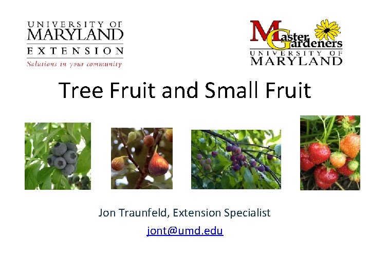 Tree Fruit and Small Fruit Jon Traunfeld, Extension Specialist jont@umd. edu 