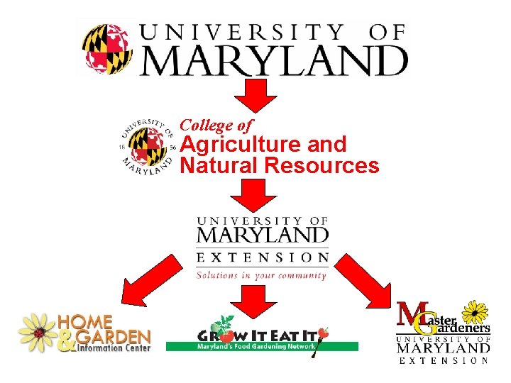 College of Agriculture and Natural Resources 