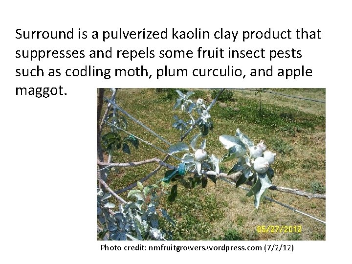 Surround is a pulverized kaolin clay product that suppresses and repels some fruit insect