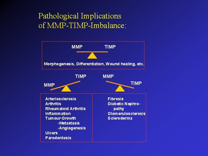 Pathological Implications of MMP-TIMP-Imbalance: MMP TIMP Morphogenesis, Differentiation, Wound healing, etc. TIMP MMP Arteriosclerosis