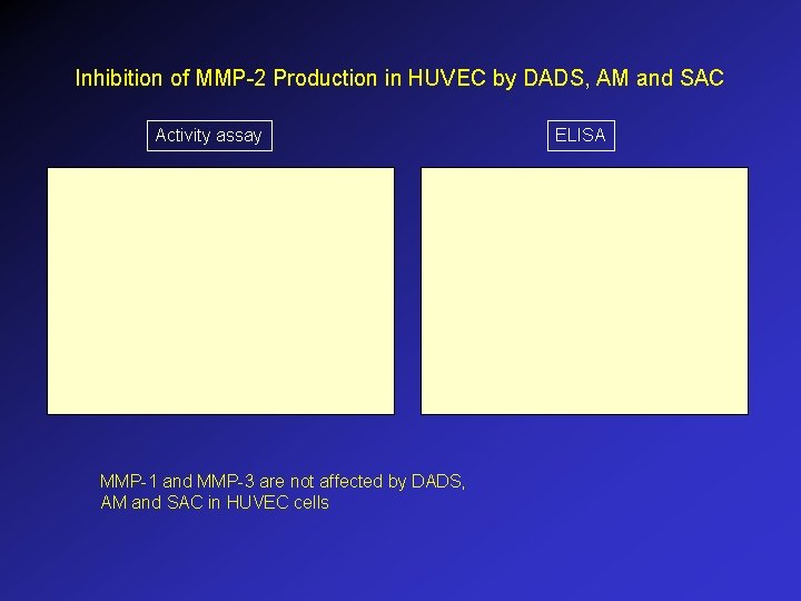 Inhibition of MMP-2 Production in HUVEC by DADS, AM and SAC Activity assay MMP-1
