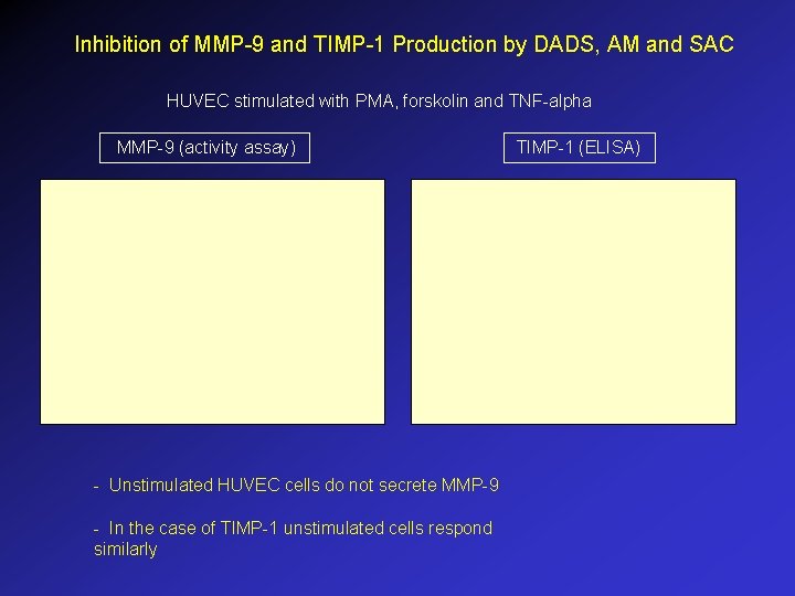 Inhibition of MMP-9 and TIMP-1 Production by DADS, AM and SAC HUVEC stimulated with