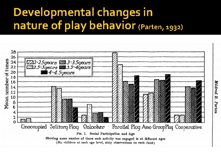 Developmental changes in nature of play behavior (Parten, 1932) 