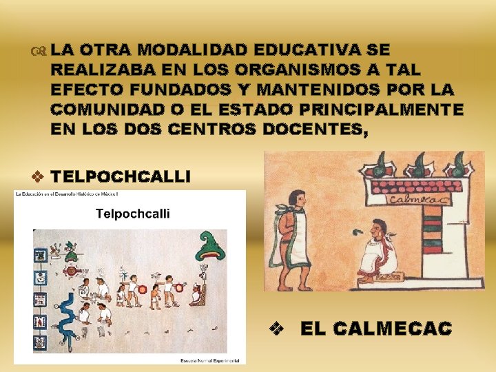  LA OTRA MODALIDAD EDUCATIVA SE REALIZABA EN LOS ORGANISMOS A TAL EFECTO FUNDADOS