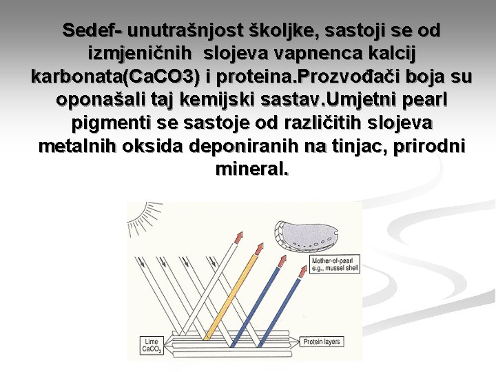 Sedef- unutrašnjost školjke, sastoji se od izmjeničnih slojeva vapnenca kalcij karbonata(Ca. CO 3) i