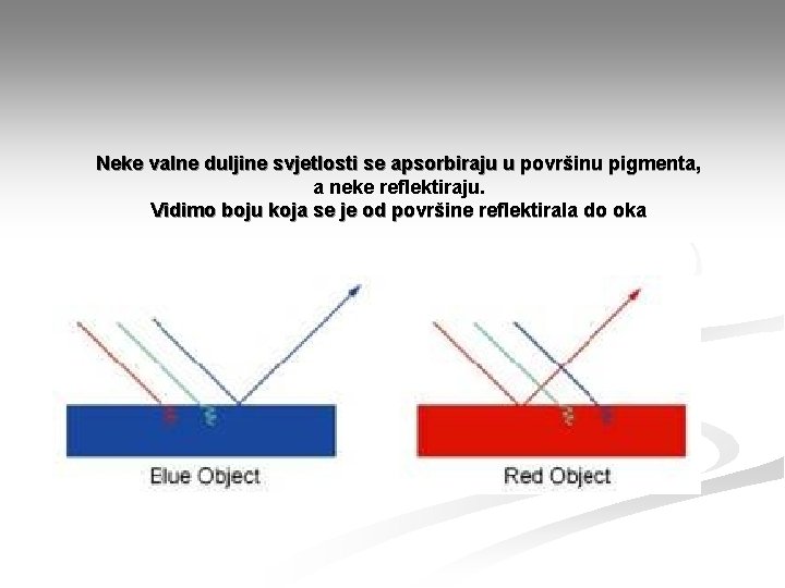 Neke valne duljine svjetlosti se apsorbiraju u površinu pigmenta, a neke reflektiraju. Vidimo boju